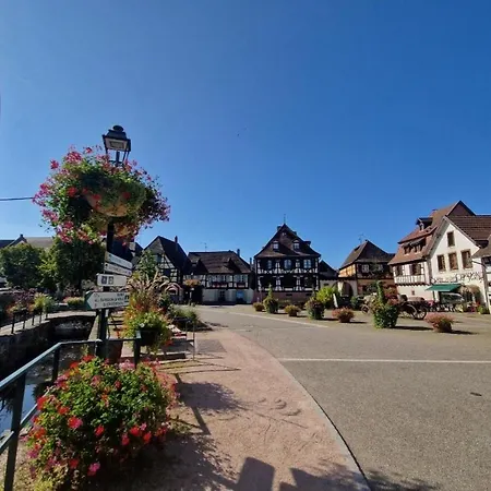 Apartment Design Et Calme Sur La Route Des Vins Scherwiller